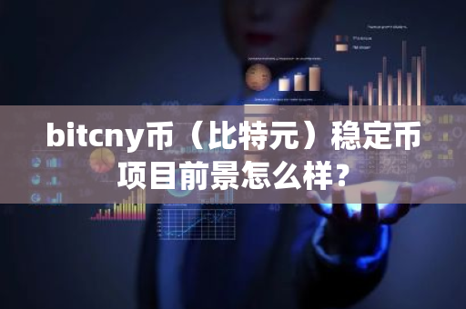 稳定币值的根本措施_稳定与波动_稳定币的未来展望：在波动市场中如何保持相对稳定的价值