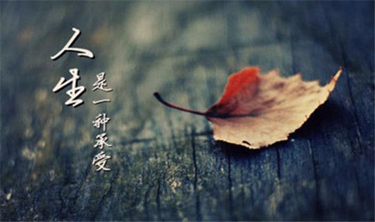 参与以太坊网络的投资者心理：如何有效管理情绪_参与以太坊网络的投资者心理：如何有效管理情绪_参与以太坊网络的投资者心理：如何有效管理情绪